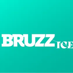 Logo BRUZZ ICE
